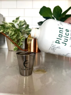 Elm Dirt Plant Juice -Alphaen Store IMG 6513 scaled