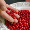 Balsgard Lingonberry