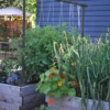Freyr Trellis By Seattle Urban Farm Company