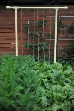 Freyr Trellis By Seattle Urban Farm Company -Alphaen Store dandelion yellow gigapixel standard scale 6 00x cf02eff6 2c92 4e0d 8396 31d0d9480f7f scaled