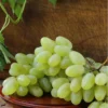 Gratitude Seedless Grape