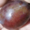 Imperial Epineuse European Plum
